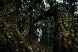 BIB: 
                            <button type="button" onclick="openModal(25673528)" class="btn btn-primary btn-sm float-right btn-popup" data-toggle="modal" data-target=".modal-high-quality">
                        <i class="fas fa-shopping-cart"></i> Add to Cart
                    </button>
                                            <button type="button" onclick="isThisMe(25673528, true)" class="btn btn-success btn-sm float-right btn-popup btn-isme hidden" data-toggle="tooltip" data-placement="bottom" title="นี่คือรูปของคุณใช่ไหม คลิกที่นี่เพื่อเอาเข้าอัลบั้ม">
                        <i class="fas fa-plus"></i> Add to album
                    </button>
                    <button type="button" onclick="isThisMe(25673528, false)" class="btn btn-warning btn-sm float-right btn-popup btn-isnotme hidden">
                        <i class="fas fa-ban"></i> Remove from album
                    </button>